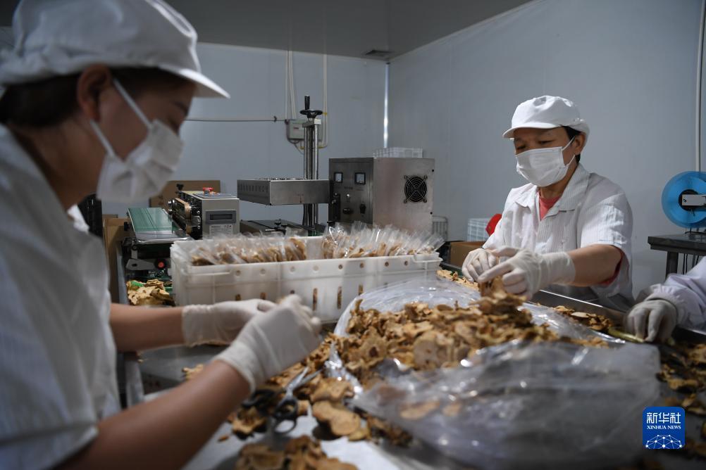 水果玛丽三元游戏